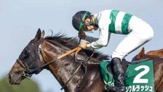 【富士S予想オッズ】ソウルラッシュが予想1番人気