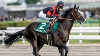 【富士S展望】マイルCSの前哨戦、差し追い込み馬が活躍傾向