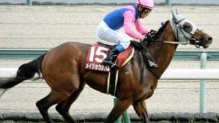 松本オーナー×石橋師タッグ 菊花賞で18年前メイショウサムソンの“忘れ物”をつかみ取る