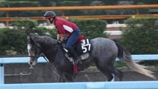 クァンタムウェーブなど、先週の入厩情報/栗東トレセンニュース