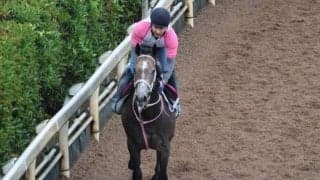 ララベルドゥニュイなど、先週のゲート試験/栗東トレセンニュース