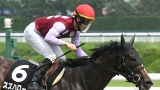 【スワンS想定】スズハローム、オフトレイルなど17頭