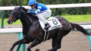 ネオユニヴァース産駒が5年ぶりGI参戦 勝てば14年ぶりのJRA・GI制覇 