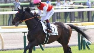 【菊花賞予想】臨戦過程が明暗を分ける!? AIも偏り出ている「前走距離」に注目したか