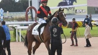 【菊花賞展望】折り合いが難しい条件だけに継続騎乗が理想