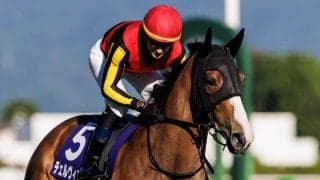 チェルヴィニアは次走ジャパンカップを予定