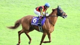 【BCマイル】ジオグリフ参戦 鞍上は横山武史騎手に決定