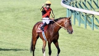 【BCターフ】ローシャムパークはルメール騎手、シャフリヤールはC.デムーロ騎手に決定