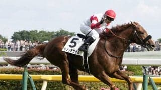 【競馬予想】菊花賞に異例のぶっつけローテで挑むダービー馬ダノンデサイル、二冠達成の確率は？