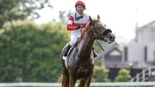 菊の主役は東の“レジェンド” 横山典騎手がダービー馬で26年ぶりV狙う