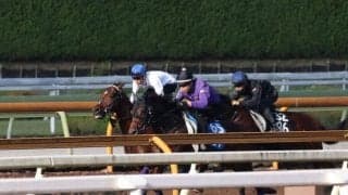 ドウデュース、天皇賞(秋)1週前追い切り速報/栗東トレセンニュース