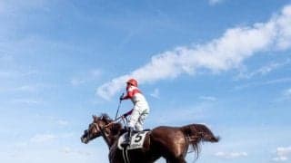 【菊花賞枠順確定】ダノンデサイルは2枠4番、コスモキュランダは5枠9番