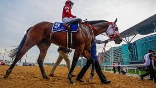 米・ブリーダーズカップ4競走の馬券発売が決定 日本からはフォーエバーヤングら8頭が参戦予定
