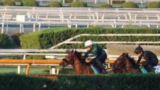 ベラジオオペラなど、天皇賞(秋)1週前追い切り速報/栗東トレセンニュース