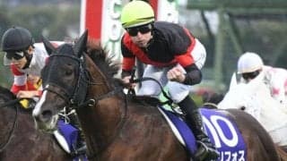 【富士S出走馬・騎手確定】セリフォス＆藤岡佑介騎手、ソウルラッシュ＆団野大成騎手など17頭