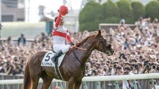 【菊花賞・調教後馬体重】ダノンデサイルは526kg、コスモキュランダは510kg