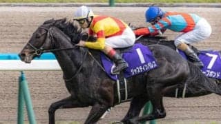 先週レモンポップに併せ先着 ジャスティンパレスの3.1億円半弟がC.ルメール騎手を背に初陣