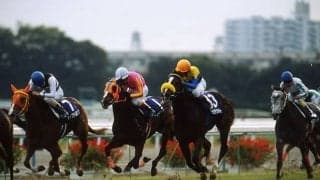 母は「セール史上最高額」の6億円馬 名牝の孫が今週デビュー