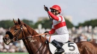 【菊花賞】出走馬の調教後の馬体重…ダービー馬・ダノンデサイルは22キロ増