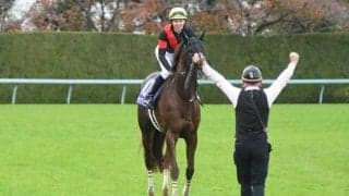 【富士S枠順確定】セリフォスは4枠7番、ソウルラッシュは6枠11番