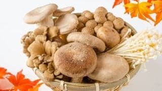 秋の味覚「きのこ」の効果効能