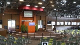 史上初のミリオンホース誕生なるか ミックスセール2024が22日に開催