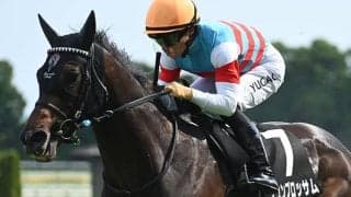 【富士S予想】GI前哨戦は意外にも先行勢が苦戦 前走の初角での位置取りに注意