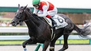 母はジャパンC覇者の白老牝系が誇る良血 出世レースで連勝なるか