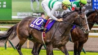 富士Sは湿り気が残った馬場かも ソウルラッシュが堅軸だ