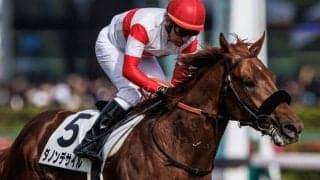 【菊花賞】ダービー馬・ダノンデサイルは2枠4番