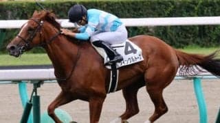 雨予報もあり新潟芝はパワー重視 ツインクルトーズが軸に最適か