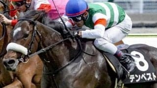 名牝シーザリオの最後の仔 初ダートで待望の2勝目挙げるか