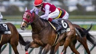 【スワンS想定馬・騎手】スズハローム、ウインカーネリアンなど17頭