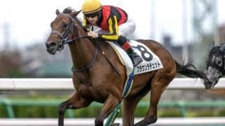 【アルテミスS想定馬・騎手】ブラウンラチェット、シホリーンなど11頭