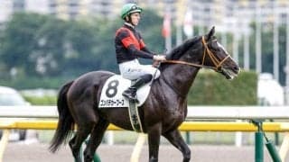 【富士S予想】実力馬有利の条件設定ながら波乱傾向 マイルCS前哨戦を制すのは？