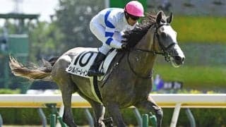 前走5馬身差V 国内外でGI・2勝の名牝の初仔が出世レースで連勝狙う