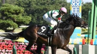 【競馬血統予想】菊花賞で注目はキングカメハメハ系　過去10年のデータから穴馬２頭をピックアップ