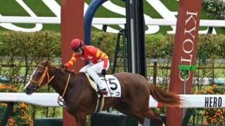 【京都4R新馬戦結果】単勝149倍の14番人気ビーコが逃げ切り勝ち 3連単は238万1550円