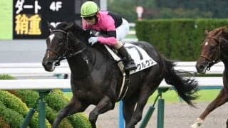 【京都5R新馬戦結果】イスラボニータ産駒アクルクスが抜け出し快勝