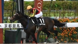 【オータムリーフS結果】ライツフォルが2番手から抜け出しオープン初勝利