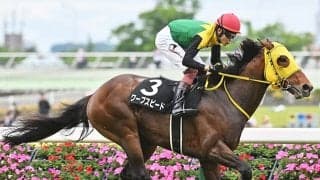 【豪・コーフィールドC結果】地元のデュークデセッサがV ワープスピードは13着