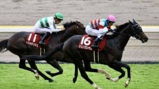 【富士S】ジュンブロッサムが重賞初制覇…2着はソウルラッシュ