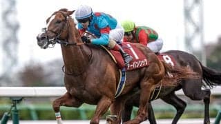 【菊花賞予想】前走の馬体重が510キロ以上の馬は不振！ 大型馬が苦戦するのは筋肉の質が原因か