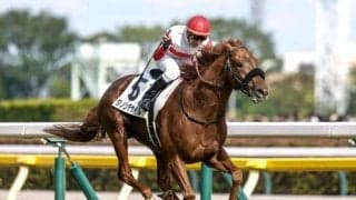 【菊花賞前日オッズ】ダービー馬ダノンデサイルが2.6倍で1番人気