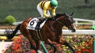 京都芝は上がり重視 菊花賞は末脚安定のピースワンデュックで穴狙い