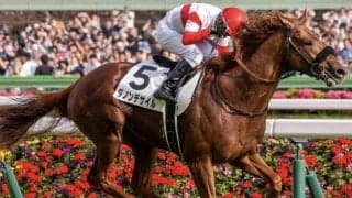 霜降り明星・粗品 菊花賞はダービー馬を信頼 馬券はワイド・3連複・3連単で勝負
