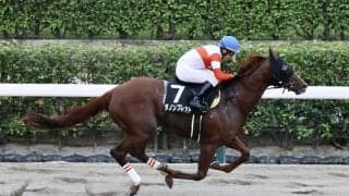 【神無月S】ダノンブレットがハナ差凌ぐ