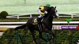 【アイビーS】マスカレードボールがデビュー2連勝…ピコチャンブラックは敗れる