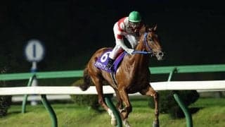 【盛岡競馬】第44回若駒賞見どころ