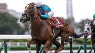 【菊花賞予想】底力問われる淀の3000m 3歳クラシック最終戦を制すカギは瞬発力？